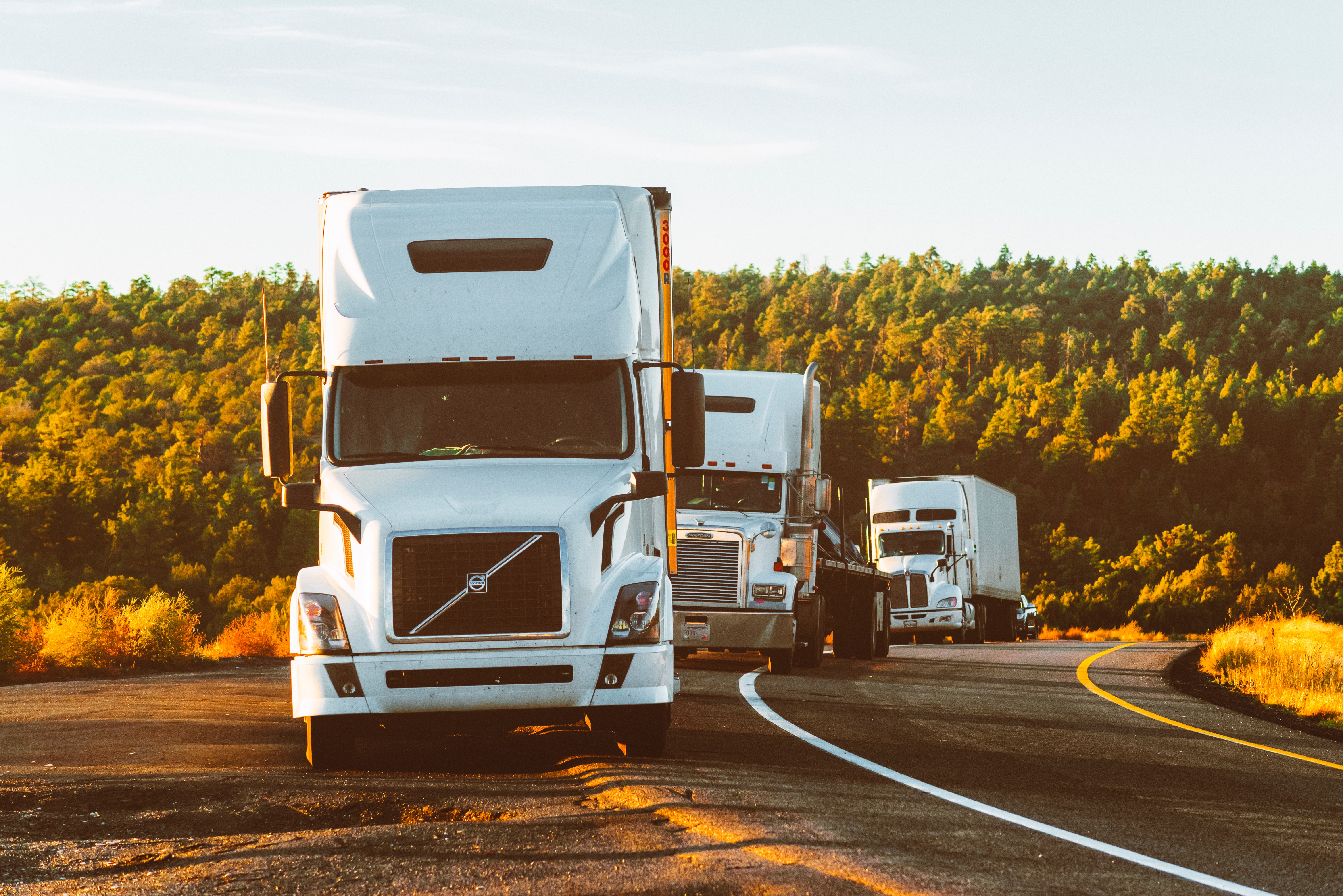 Top Benefits of DOT Driver File Management Systems for Fleets 